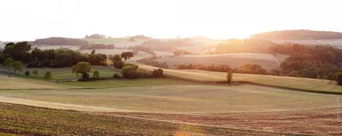 Landschaft NRW